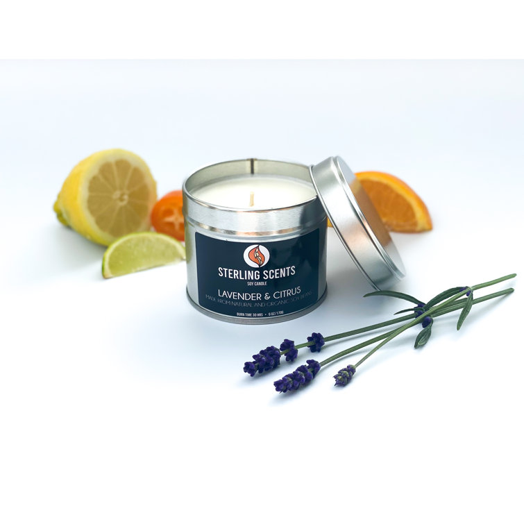 Sterling Scents Scented Wax Melt Candle Wayfair.co.uk
